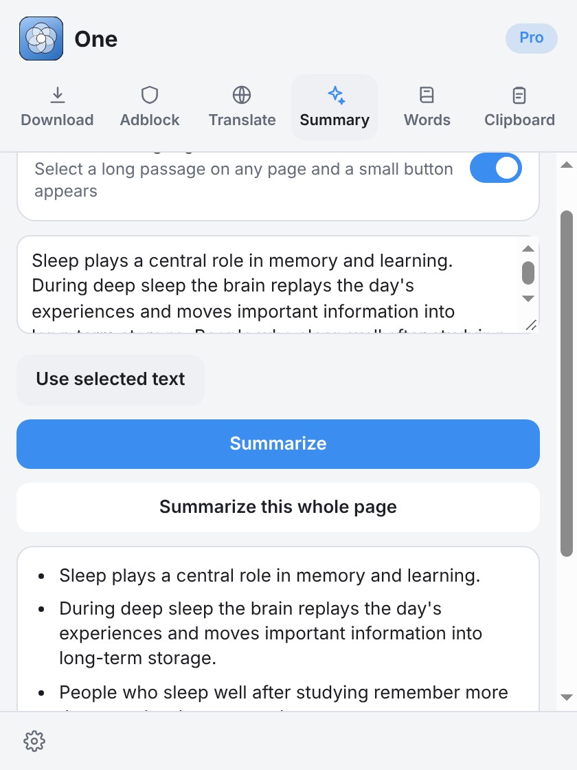 Summary tab turning a long passage into bullet points