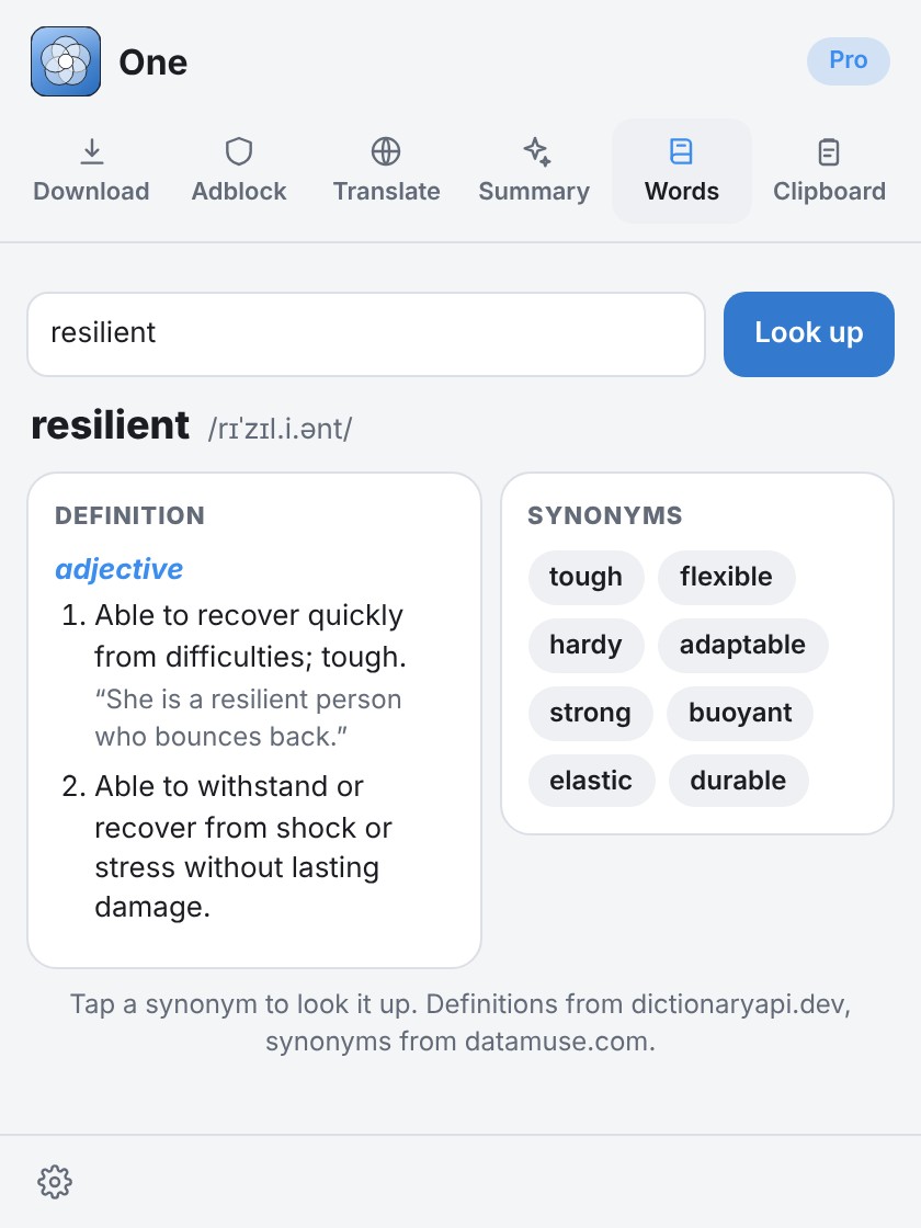 The One Words tab